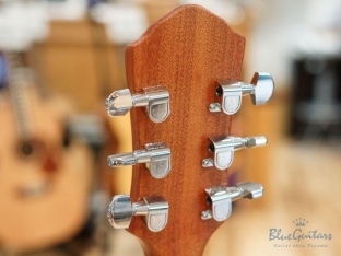 Arcus Semihollow - Amber