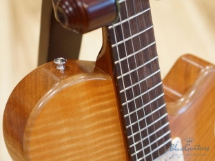 Arcus Semihollow - Amber