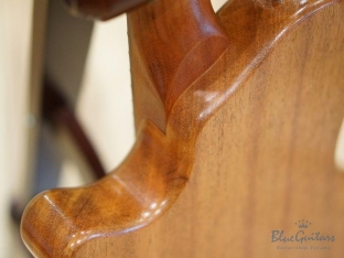 Arcus Semihollow - Amber