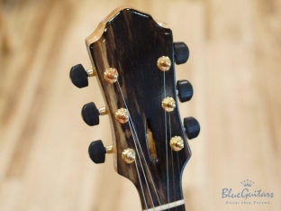 Arcus Thinbody Archtop - Nature