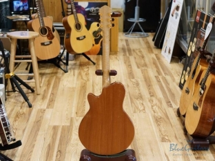 Arcus Thinbody Archtop - Nature