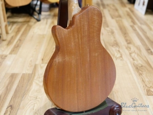 Arcus Thinbody Archtop - Nature