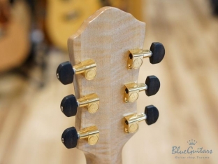 Arcus Thinbody Archtop - Nature