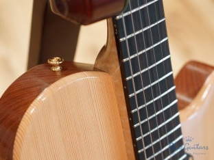 Arcus Thinbody Archtop - Nature