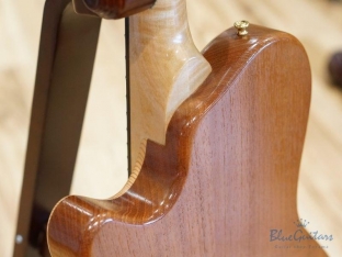 Arcus Thinbody Archtop - Nature