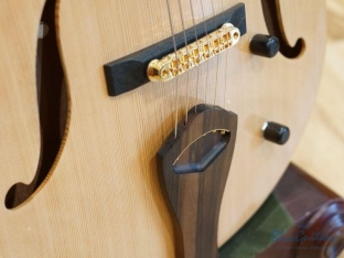 Arcus Thinbody Archtop - Nature