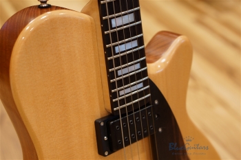 Arcus Thinbody Archtop - Nature