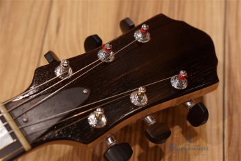 Arcus Thinbody Archtop - Nature