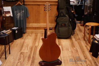 Arcus Thinbody Archtop - Nature