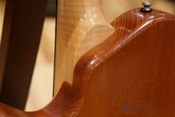 Arcus Thinbody Archtop - Nature