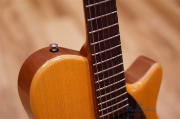 Arcus Semi-hollow Jazz - Amber