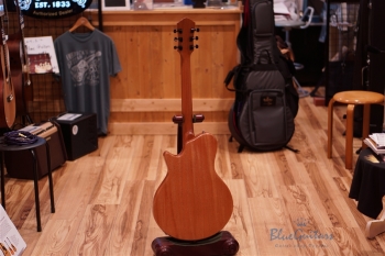 Arcus Semi-hollow Jazz - Amber