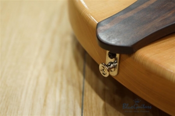 Arcus Thinbody Archtop - Nature