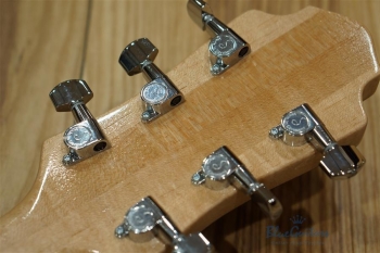 Arcus Thinbody Archtop - Nature