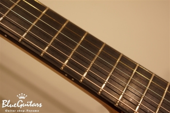 Arcus Thinbody Archtop - Tosa Cedar / Spanish Cedar