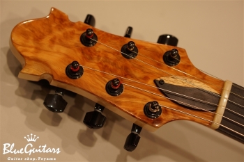 Arcus Thinbody Archtop - Tosa Cedar / Spanish Cedar