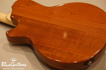Arcus Thinbody Archtop - Tosa Cedar / Spanish Cedar