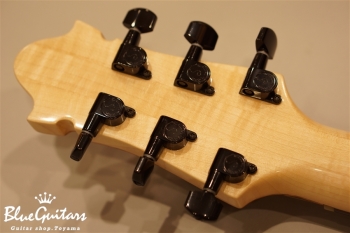 Arcus Thinbody Archtop - Tosa Cedar / Spanish Cedar