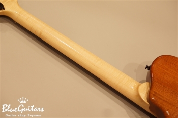 Arcus Thinbody Archtop - Tosa Cedar / Spanish Cedar