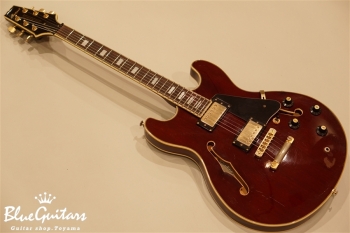 Aria Pro II TA-62 - Wine Red | Blue Guitars Online Store