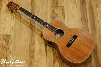 Stella STLPEA-K14 (Stella Parlor Ele/Acoustic KOA) | Blue Guitars