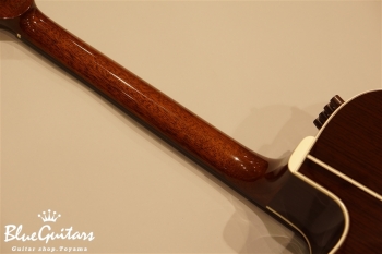 SJ-R Chuei Yoshikawa Model