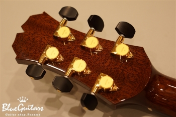 SJ-R Chuei Yoshikawa Model