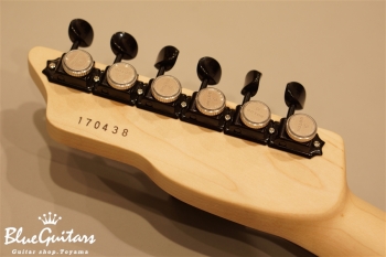 S-622 Alder/R - Black w/Matching Head & Green Solid Logo & Luminlay Face/Side Dot & MG-T