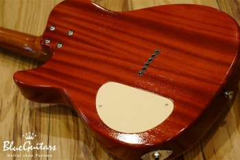 Cirrus Semi-hollow - Burst