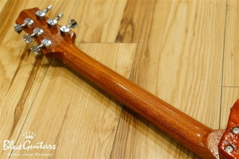 Cirrus Semi-hollow - Burst