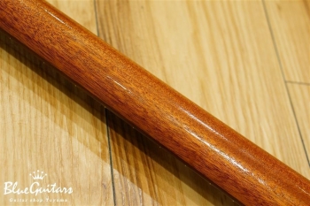 Cirrus Semi-hollow - Burst