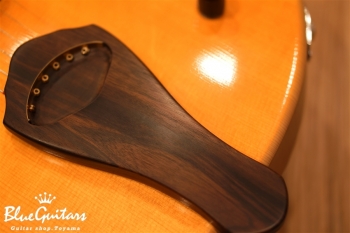 Arcus Semi-hollow Jazz - Amber