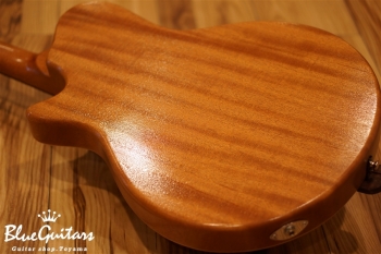 Arcus Semi-hollow Jazz - Amber