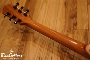 Arcus Semi-hollow Jazz - Amber