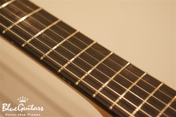 Arcus Thinbody Archtop - Amber Nature