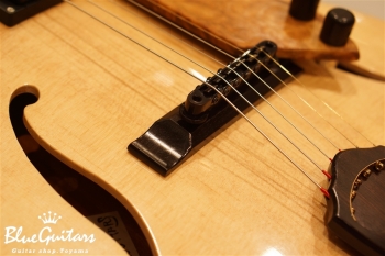 Arcus Thinbody Archtop - Amber Nature