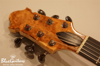 Arcus Thinbody Archtop - Amber Nature