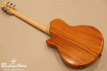 Arcus Thinbody Archtop - Amber Nature