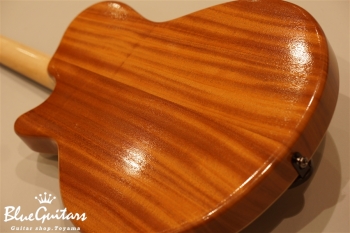 Arcus Thinbody Archtop - Amber Nature