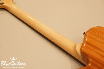 Arcus Thinbody Archtop - Amber Nature