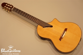 MSCC-14 RS