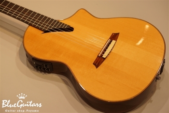 MSCC-14 RS