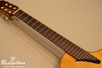 MSCC-14 RS