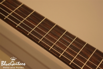 MSCC-14 RS