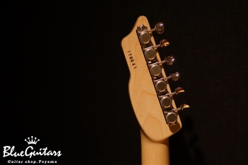 S-622 Alder/M - Turquoise Granite