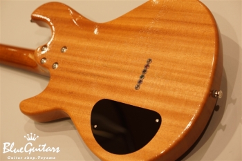 Amnis Radix - Yuya Komoguchi specs -