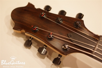 Arcus Thinbody Archtop - Spruce/Mahogany