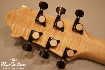 Arcus Thinbody Archtop - Spruce/Mahogany