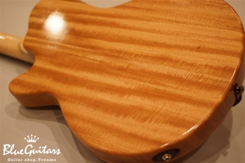 Arcus Thinbody Archtop - Spruce/Mahogany