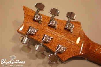 SE Acoustic ANGELUS A30E